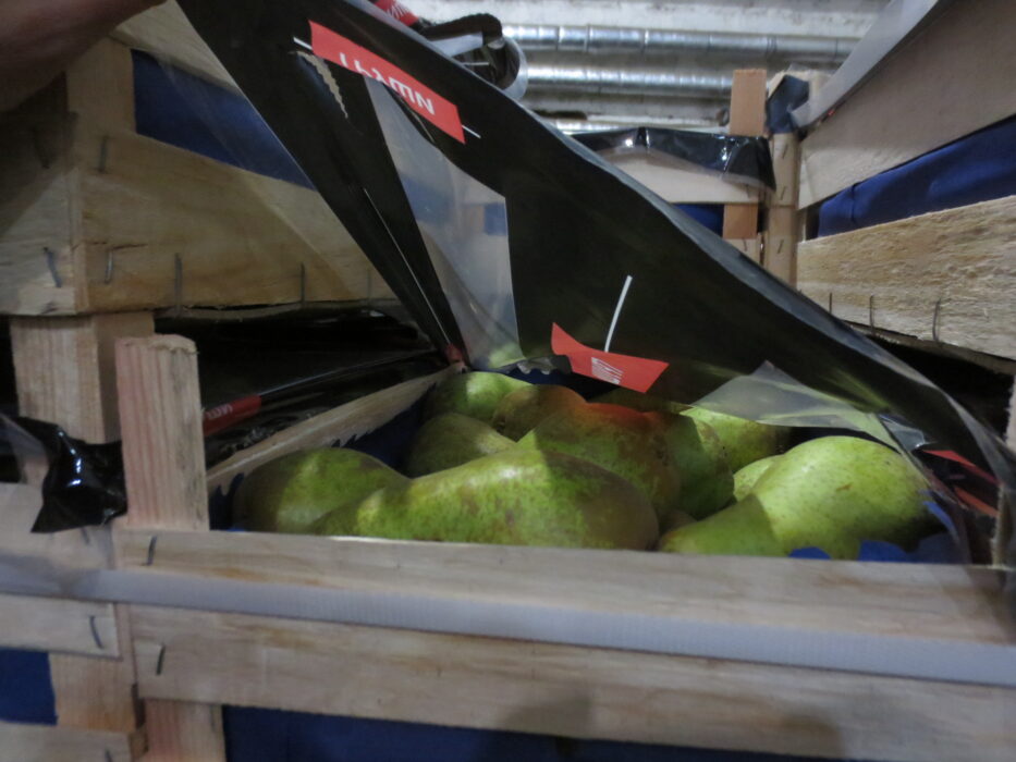 В Оренбурге на Петровском рынке изъяли более 600 кг санкционных груш