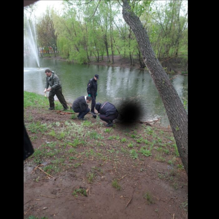 В ростошинском пруду "Ивушка" утонул мужчина