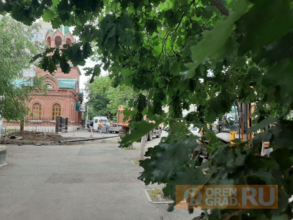 Жители Оренбурга вышли на защиту деревьев на переулке Матросском