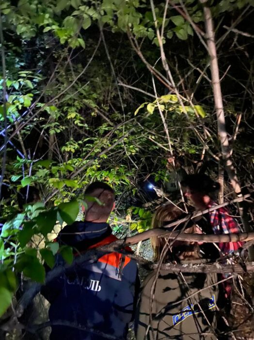Под Оренбургом спасатели нашли потерявшихся в лесу людей