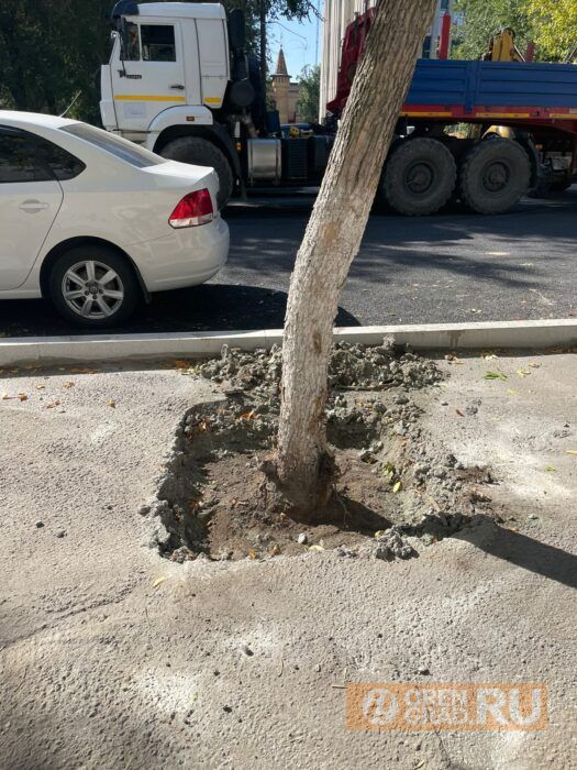 В Оренбурге подрядчиков заставили убрать бетон, в который закатали деревья