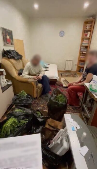 Оренбуржец в подвале своего дома разбил плантацию конопли