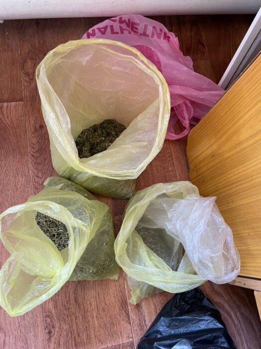 У жителя Краснохолма обнаружили крупный запас марихуаны