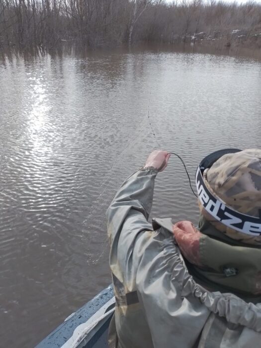 В Бузулукском бору из реки Самара инспекторы извлекли 12 браконьерских сетей