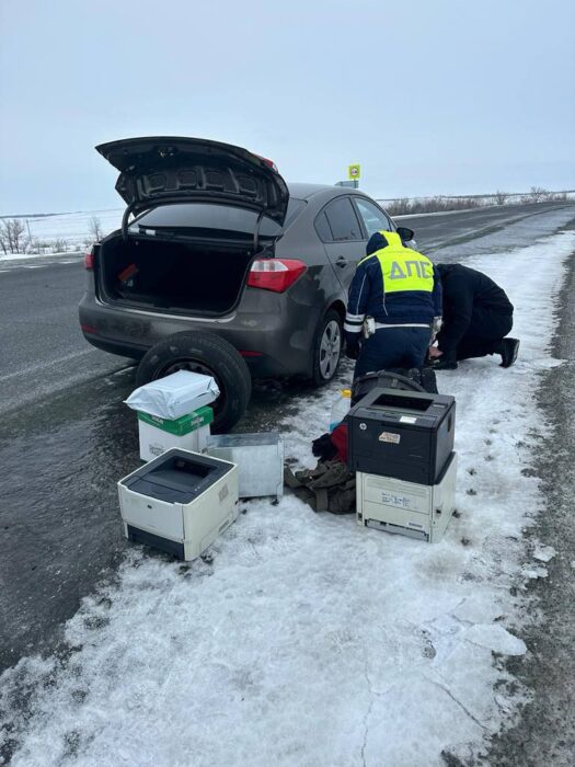 В Оренбуржье полицейские помогли водителю, слетевшему в кювет из-за косули